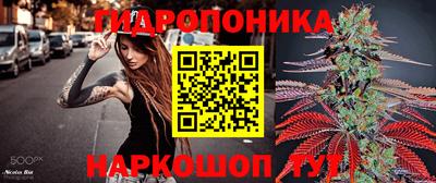 гидропоника Кунгур