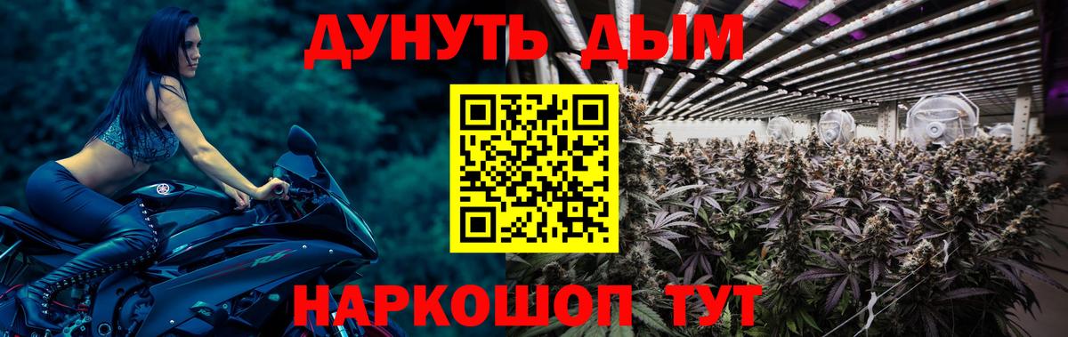 Марихуана сатива  Вход с VPN  Марихуана White Widow  Конопля план  Шишки марихуана AK-47  Знаменск 